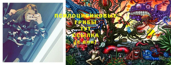 герыч Алексеевка