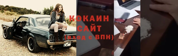 стафф Алзамай
