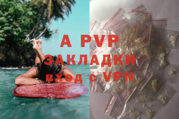 стафф Алзамай