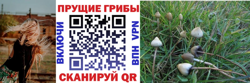где купить наркоту  Югорск  Галлюциногенные грибы прущие грибы 