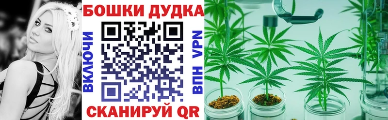 Бошки Шишки ГИДРОПОН Югорск
